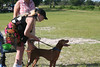 socovs > Fun Weekend 08 photo